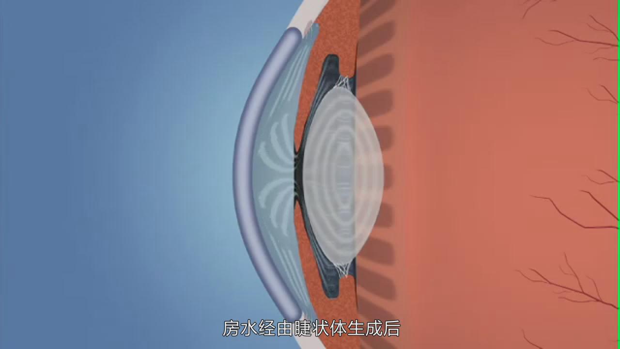 &#31859;&#20848;&#22312;&#32447;&#27880;&#20876;&#45;&#31859;&#20848;&#65288;&#20013;&#22269;&#65289;