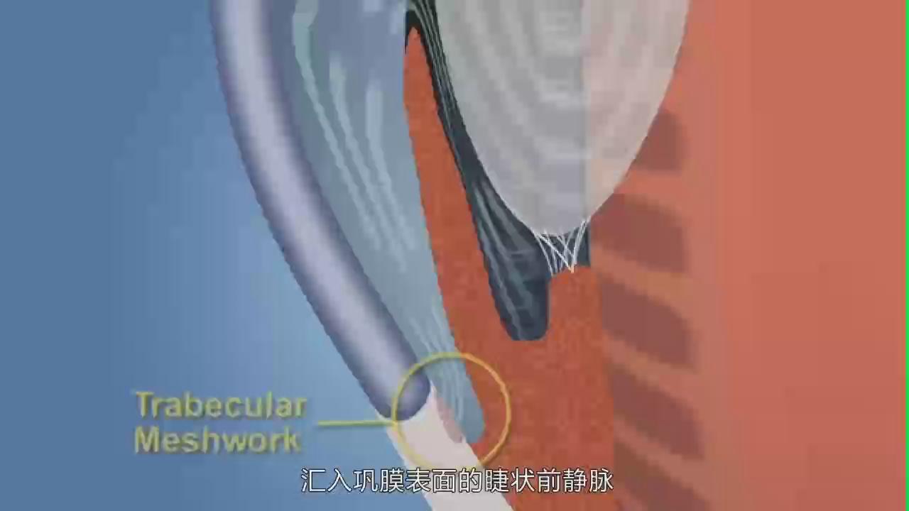 &#31859;&#20848;&#22312;&#32447;&#27880;&#20876;&#45;&#31859;&#20848;&#65288;&#20013;&#22269;&#65289;