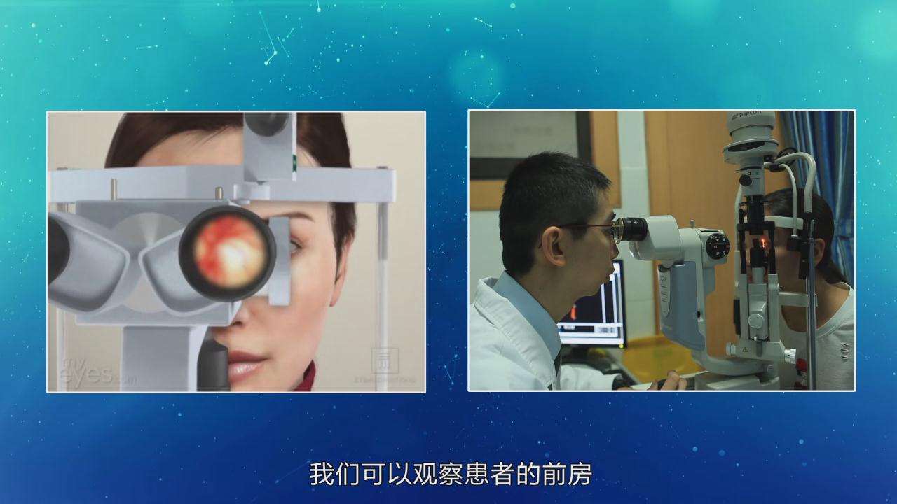 &#31859;&#20848;&#22312;&#32447;&#27880;&#20876;&#45;&#31859;&#20848;&#65288;&#20013;&#22269;&#65289;