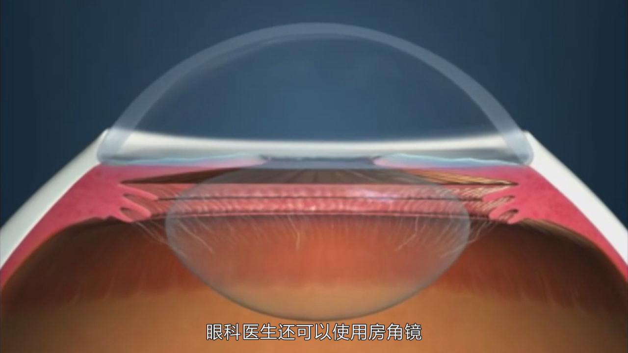 &#31859;&#20848;&#22312;&#32447;&#27880;&#20876;&#45;&#31859;&#20848;&#65288;&#20013;&#22269;&#65289;